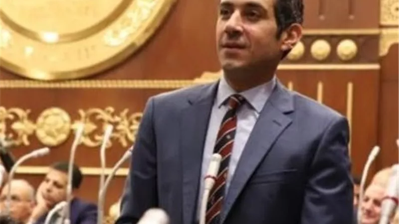 برلماني يطالب بدعم الكهرباء المقدمة للمصانع والمزارع التي تصدر منتجاتها للخارج