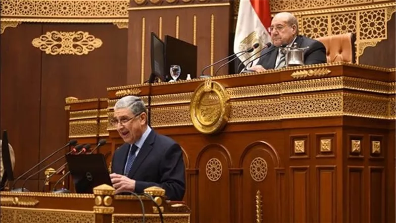 وزير الكهرباء: نستهدف الوصول إلى 60% استخدام طاقة متجددة