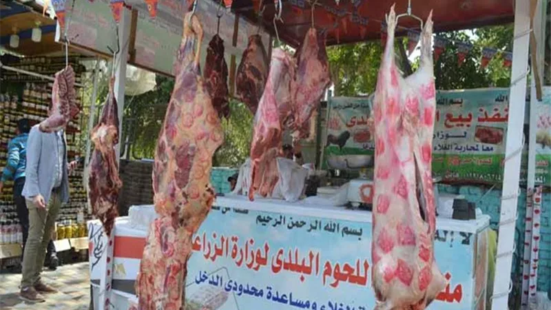 الكيلو ب 225 جنيها .. ننشر اماكن منافذ وزارة الزراعة لبيع اللحوم