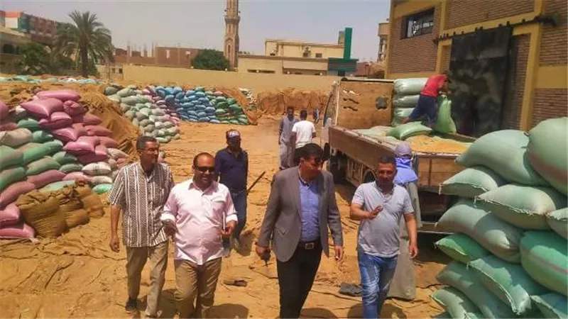 نائب محافظ المنيا يعلن توريد 309 ألف طن من القمح