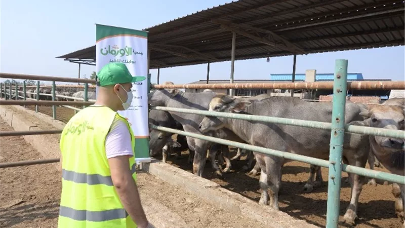 (بثمن كيلو واحد من اللحوم...شارك فى صك الاضحية 2023) بكفرالشيخ