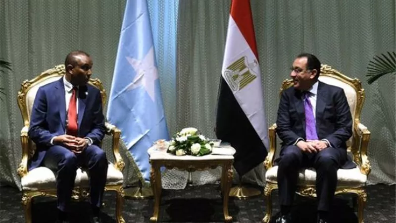 مدبولى يلتقى رئيس وزراء جمهورية الصومال الفيدرالية