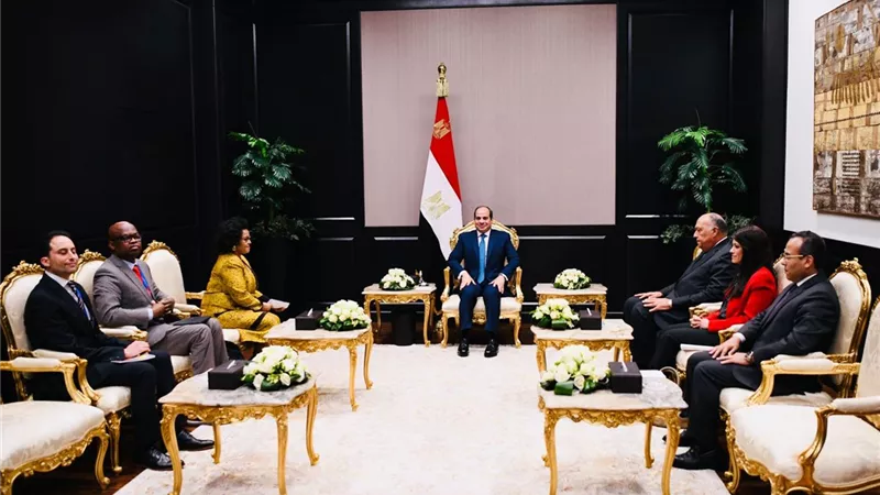 الرئيس السيسي يلتقي المديرة التنفيذية لوكالة الاتحاد الإفريقي للتنمية 