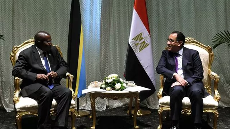 رئيس الوزراء يلتقى نائب رئيسة تنزانيا