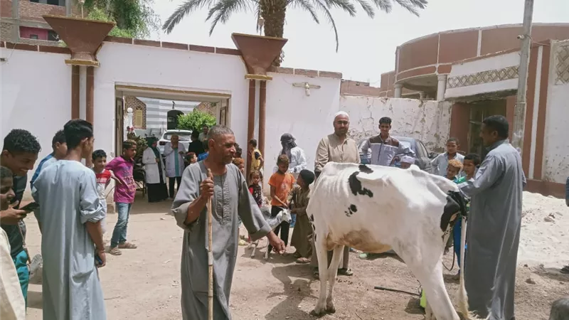 قافلة بيطرية مجانية في قرى مركز دشنا بقنا