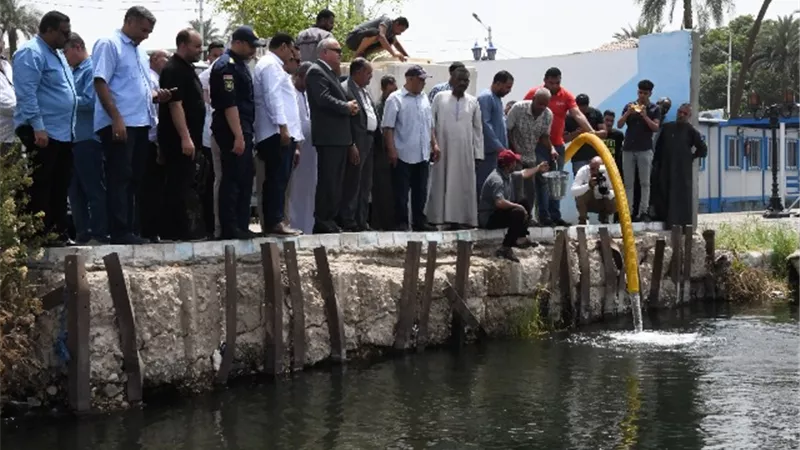 محافظ قنا يشهد إنزال ٢٠٠ ألف زريعة سمكية بنهر النيل