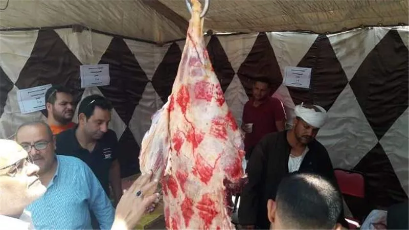 فتح منافذ لبيع اللحوم البلدية بأسعار مخفضة ببني مزار ومطاى