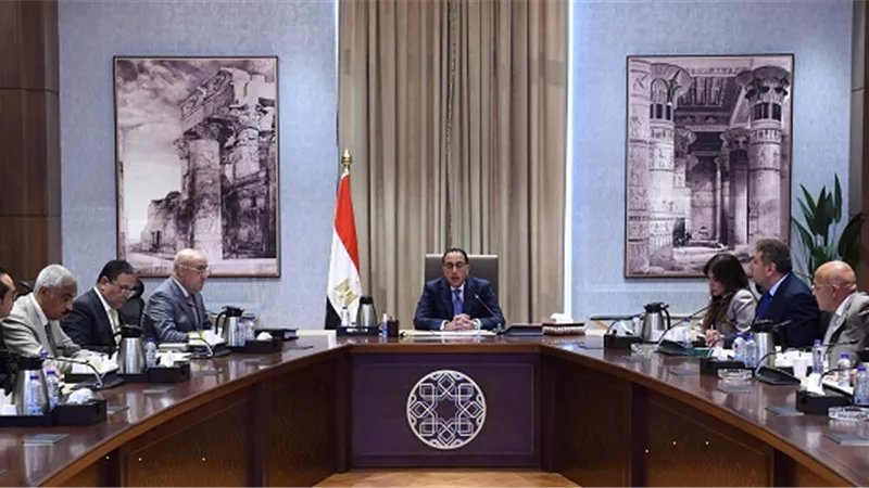 رئيس الوزراء يلتقى عددا من المطورين العقاريين