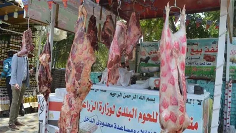 225 جنيها للكيلو.. الزراعة تعلن عن منافذ لبيع اللحوم المخفضة