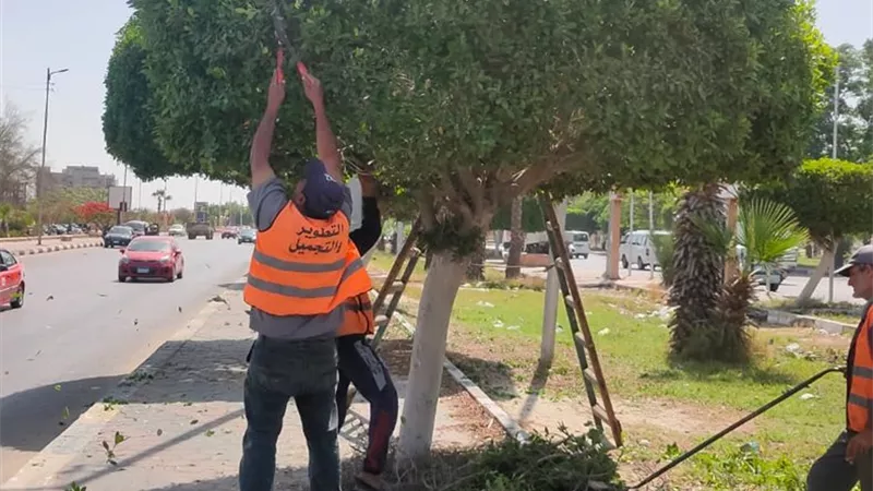 رفع كفاءة حدائق ومتنزهات الإسماعيلية
