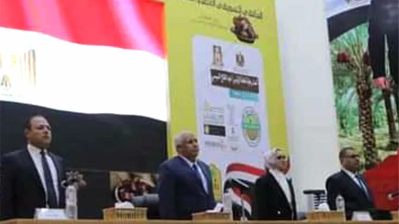 تفاصيل واقعة تزوير وحبس موظف ديوان محافظة الوادى الجديد احتياطيا
