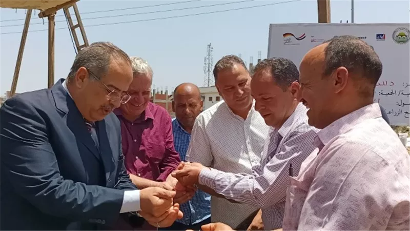 تفاصيل زراعة الأرز بطريقة جديدة لتوفير المياه فى كفر الشيخ