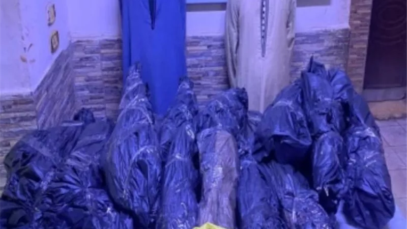 القبض على معلمين الكيف في المحافظات خلال حملة أمنية مكبرة