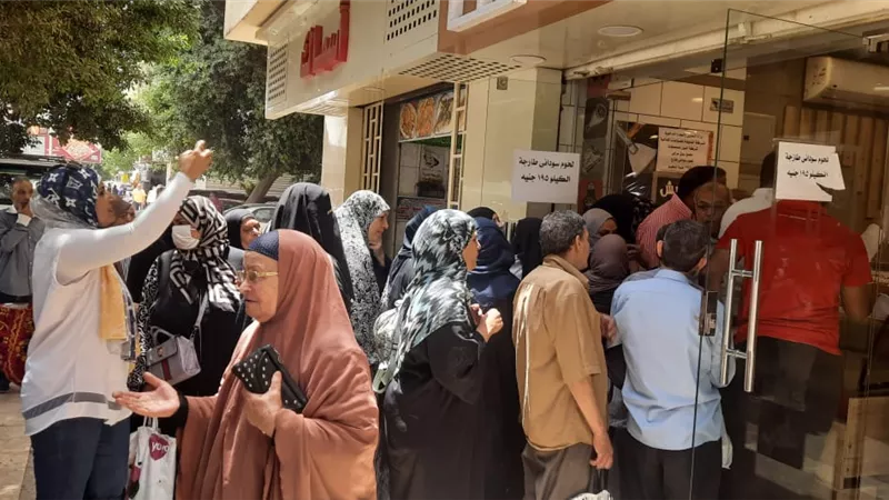 استعدادا لعيد الاضحى التموين توفير 1500 رأس ماشية بسعر ١٩٥ للكيلو