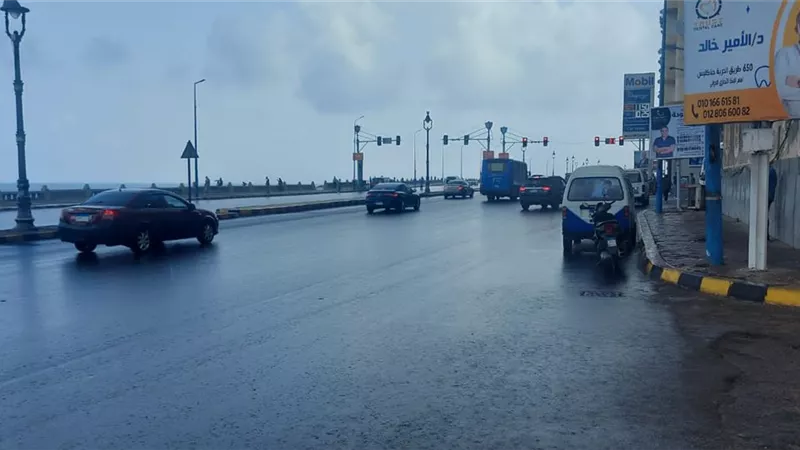 امطار خفيفه بغرب الاسكندريه