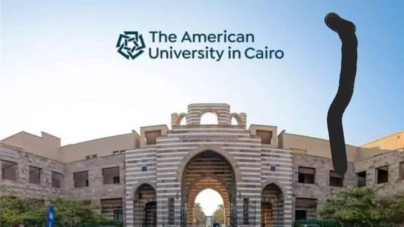 الجامعة الأمريكية تحصل على جائزة التميز الفضية 2023 من مؤسسة EMFD