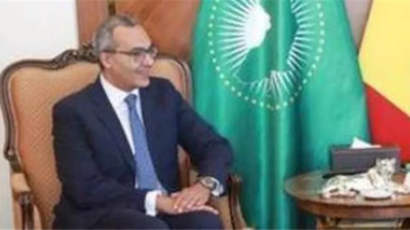 سفير مصر بالسنغال: الدولة تبذل جهودًا لفتح أسواق جديدة بإفريقيا