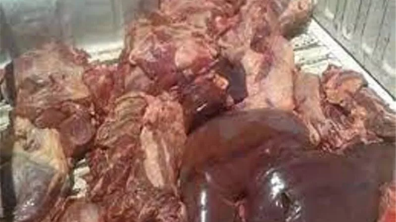 ضبط نصف طن لحوم وكبدة فاسدة بالعمرانية ..صور