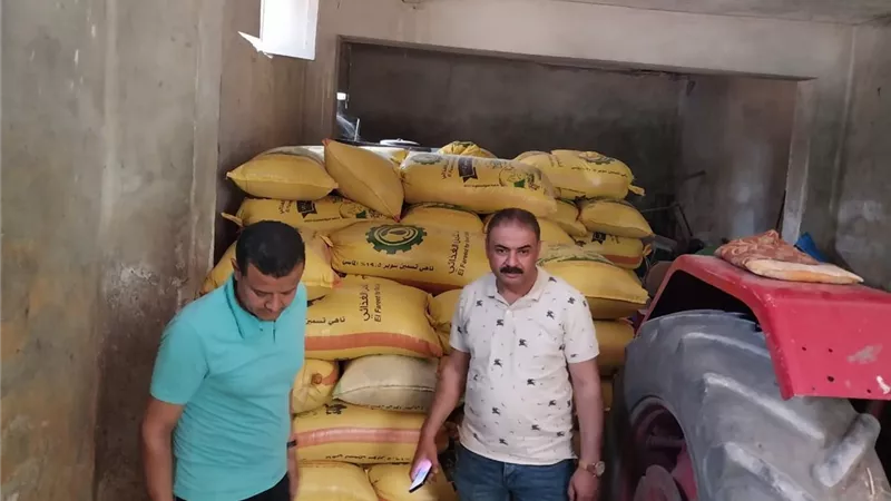 ضبط 140 طن قمح بهدف الاحتكار بمراكز ملوى و بنى مزار وديرمواس