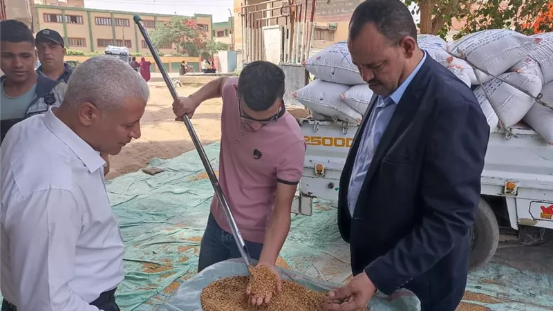 متابعة أعمال توريد القمح بمركز ببا
