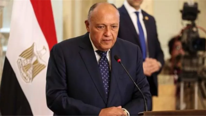 وزير الخارجية يتوجه إلى المجر في زيارة ثنائية
