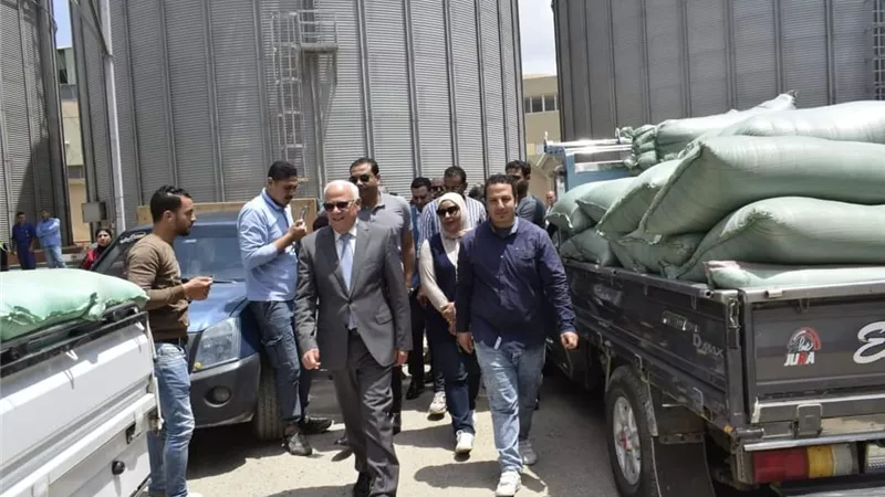 محافظ بورسعيد:توريد 100% من محصول القمح للموسم 2023