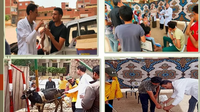 قافلة بيطرية لعلاج الثروة الحيوانية بالمجان بقرية بالشرقية