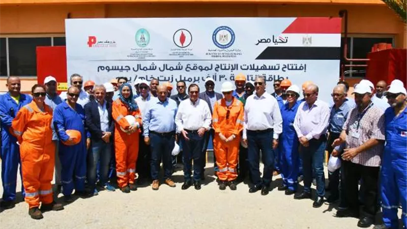 البترول:203ملايين برميل بترول احتياطي حقل 