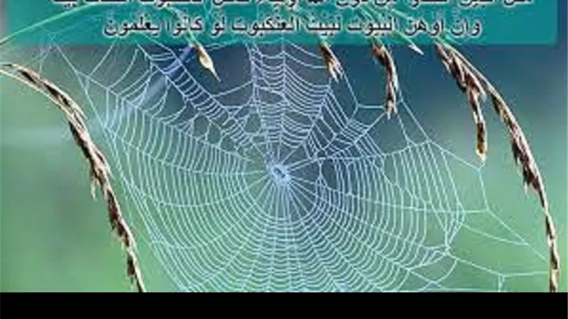 من جميل ما قرأت| فائدتان جميلتان من سورة العنكبوت