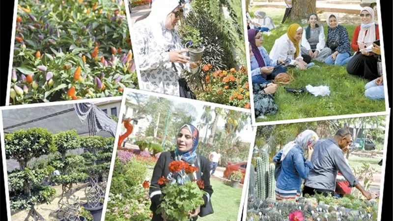 معرض الزهور بالمتحف الزراعي.. قطعة من الجنة