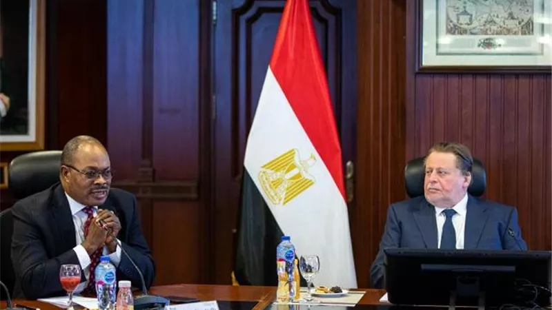 محافظ 