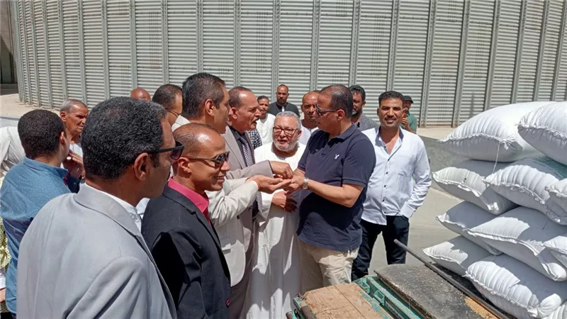 التموين: توريد 3 ملايين طن قمح محلي من المزارعين حتى الآن