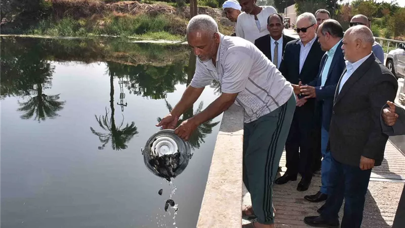إلقاء ٣.٥ مليون ذريعة بلطى ومبروك فى نهر النيل كمرحلة أولى
