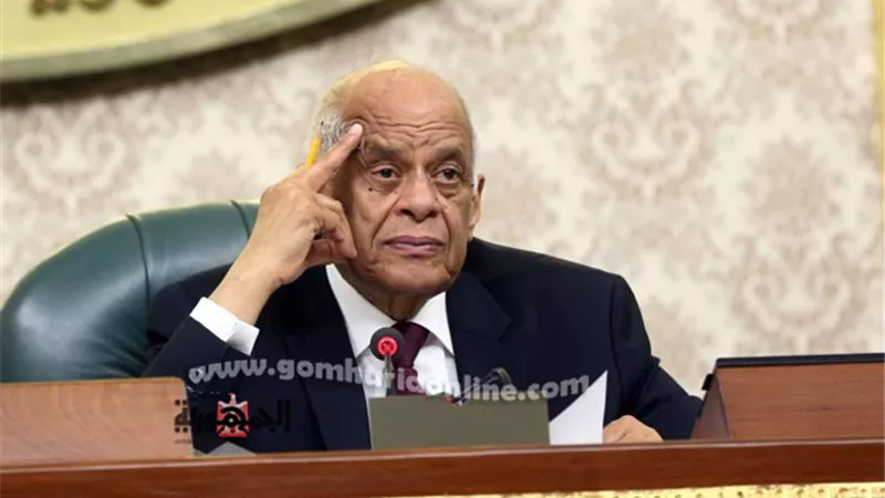 عبدالعال .. هناك من يسيء للعلاقة الحميمة بين المجلس والحكومة