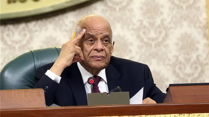 عبد العال: البرلمان حريص على شباب مصر وسلامتهم