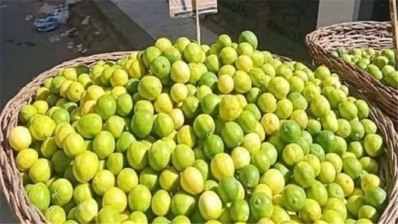 الزراعة تكشف أسباب ارتفاع أسعار الليمون في الأسواق