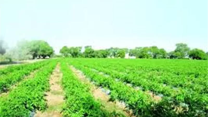 محافظ أسيوط يؤكد على استمرار الجهود لتطوير مزرعة الغريب