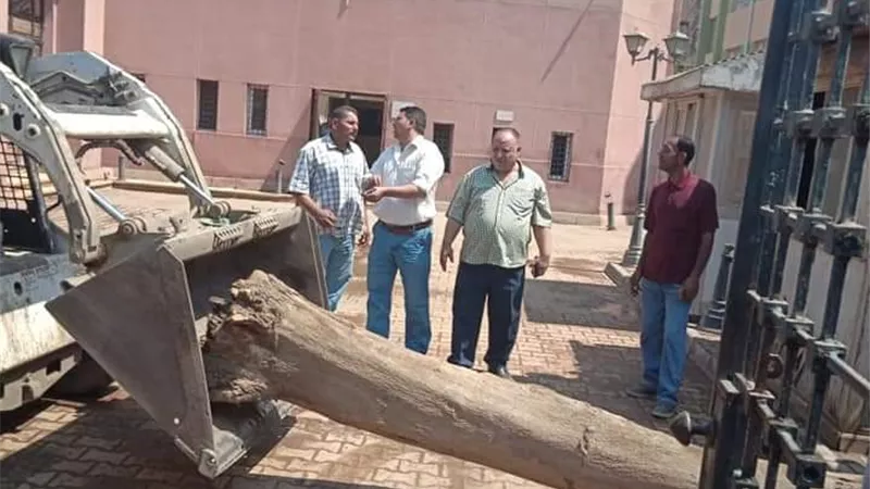 كلاكيت كل عام .. متحف دنشواي يتجمل للعيد القومي فقط .. وباقى العام فى عالم النسيان
