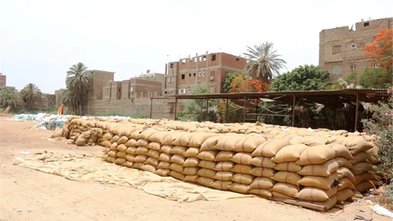 التموين: توريد 3.2 ميلون طن قمح محلي