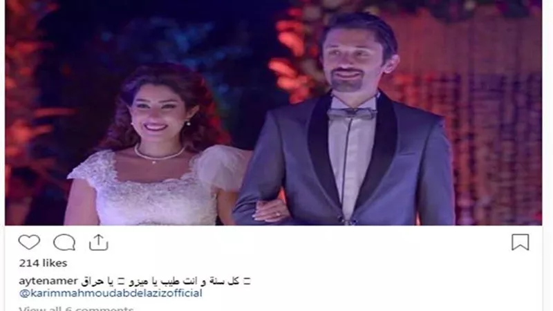 ايتن عامر تحتفل بعيد ميلاد ميزو بطريقتها الخاصة