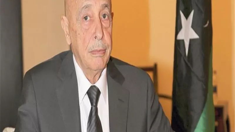 بالفيديو..رئيس البرلمان الليبي: نرفض التدخلات الخارجية في ليبيا.. والشرعية تُستمد من الشعب