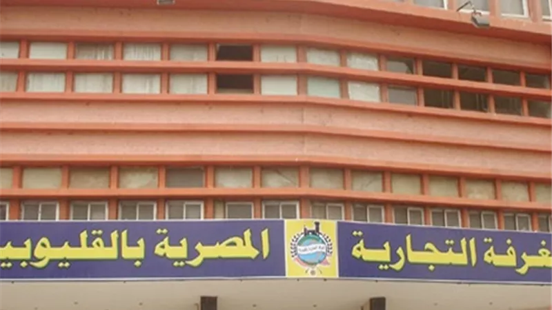 القضاء الإداري: وقف إعلان نتيجة التزكية بالغرفة التجارية بالقليوبية وإدراج اسماء المرشحين المستبعدين
