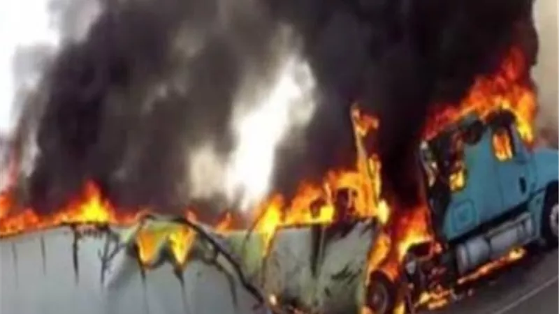 تفحم شاحنة أمير محملة بالبطاطس فى سهل بركة بالوادى الجديد
