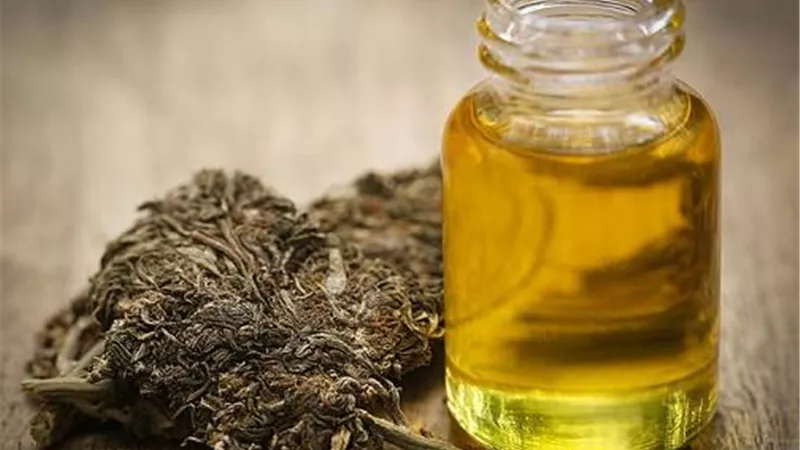الأم ( ضابط شرطة ) .. حاولت تهريب الحشيش لعلاج طفلها من الصرع
