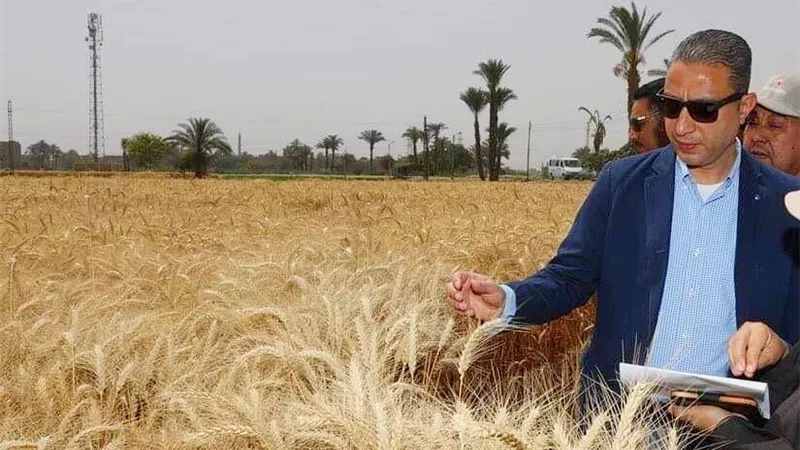 محافظ سوهاج : تخطي المستهدف من توريد القمح لصوامع وشون المحافظة