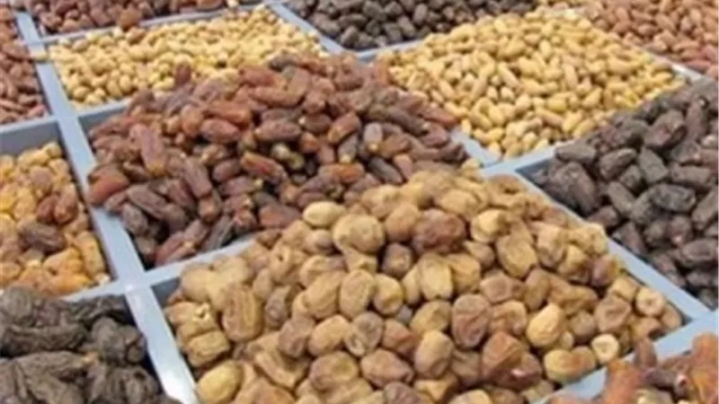 تخصيص ١٠٠ فدان لإقامة منطقة لوجيستية للتمور بالوادى الجديد