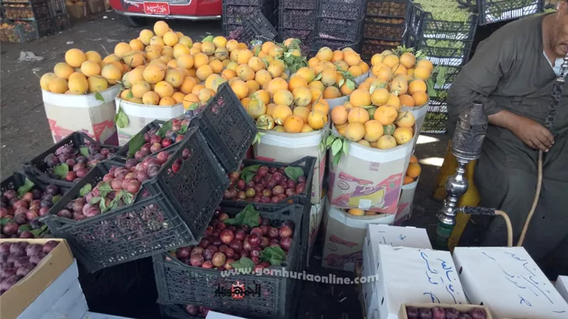 أسعار الفاكهة من سوق العبور.. فيديو