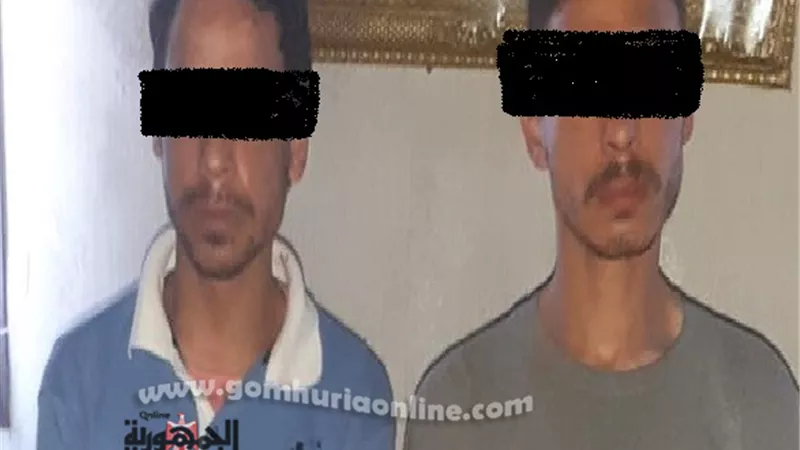 حبس نقاش وشقيقه قتلا سائق توك توك بمينا البصل