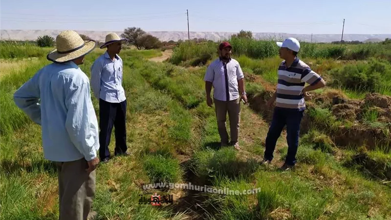 بالصور..رئيس مركز الداخلة يتفقد مزارع الشباب ويوصي برفع كفاءة محطات المياه بالوادى الجديد