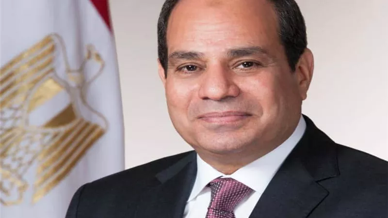 علاء عابد : زيارة السيسى لبيلاروسيا وبوخارست ستكون ناجحة